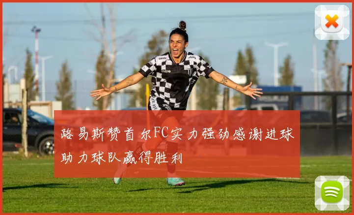 路易斯赞首尔FC实力强劲感谢进球助力球队赢得胜利